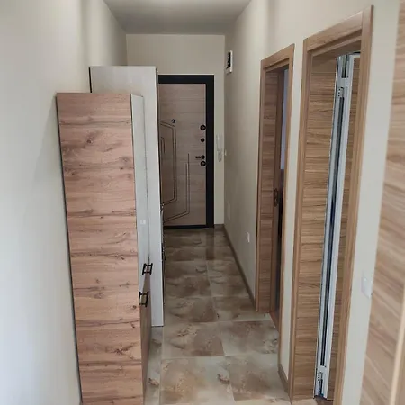 Sun Rays 公寓 内塞伯尔