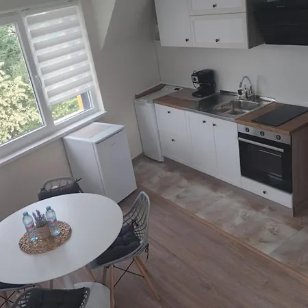 Sun Rays 公寓 内塞伯尔