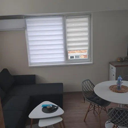 Sun Rays 公寓 内塞伯尔