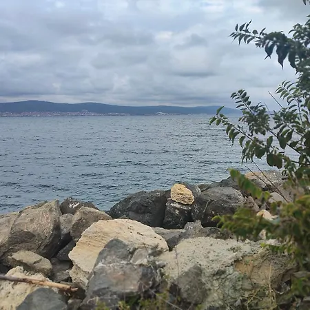 Sun Rays 内塞伯尔