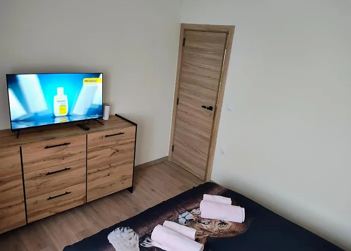 Apartment Sun Rays *